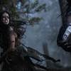 Unveiling 'Prey': A Riveting Predator Universe Prequel Arrives on 4K UHD, Blu-ray, and DVD on October 3rd!