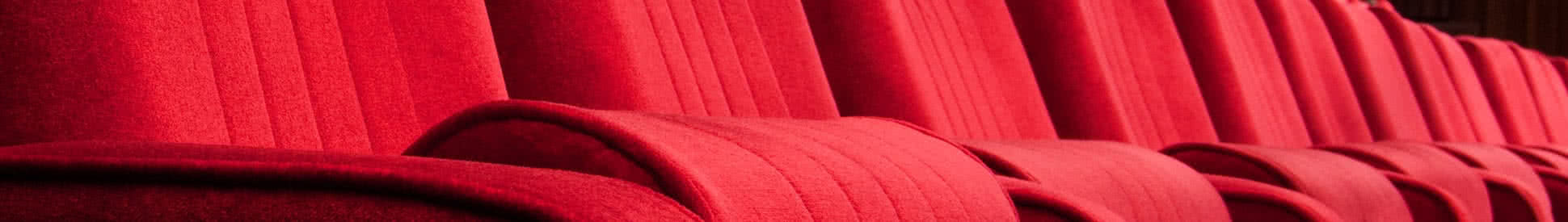 Privacy Policy - FlickDirect